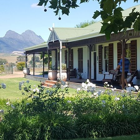 Hoopenburg Guesthouse Stellenbosch Kültér fotó